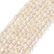 Natural Cultured Freshwater Pearl Beads Strands, Rice, Grade 2A+, Floral White, 4.5~6x3~4x3~4mm, Hole: 0.5mm, about 66~70pcs/strand, 14.17''(36cm)(PEAR-E016-123)