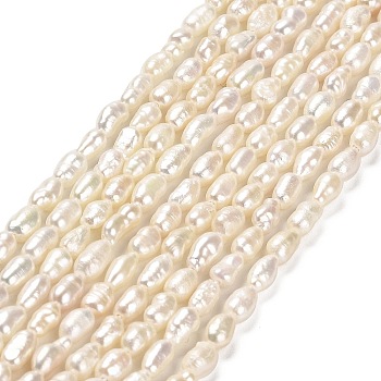 Natural Cultured Freshwater Pearl Beads Strands, Rice, Grade 2A+, Floral White, 4.5~6x3~4x3~4mm, Hole: 0.5mm, about 66~70pcs/strand, 14.17''(36cm)
