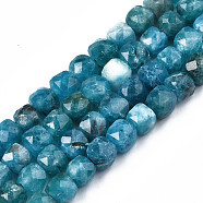 Natural Quartz Beads Strands, Dyed, Faceted, Cube, Cadet Blue, 5.5x6x6mm, Hole: 1mm, about 61~62pcs/Strand, 12.99 inch~13.19 inch(33cm~33.5cm)(G-S359-376O)
