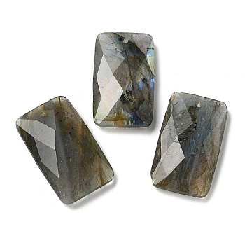 Natural Labradorit Pendants, Rectangle, Faceted, 30~30.5x18~18.5x6~6.5mm, Hole: 1.5mm