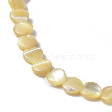 Chapelets de perles de coquille de trochid / trochus coquille(SHEL-F003-08C)-3