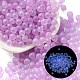 Luminous Glow in the Dark Transparent Glass Round Beads(GLAA-F124-B01)-1