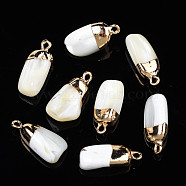 Natural Trochid Shell/Trochus Pendants, with Golden Plated Loop, Nuggets, 19.5~22x7~12x5.5~9.5mm, Hole: 1.2~1.6mm(SSHEL-N027-126)
