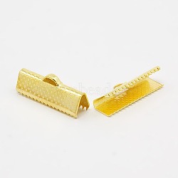 Iron Ribbon Crimp Ends, Golden, Nickel Free, 8x20mm, Hole: 2mm(X-IFIN-S008-G-NF)