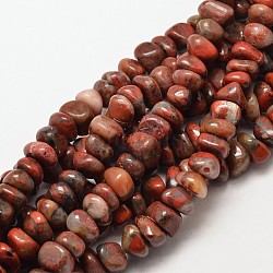 Dyed Carnelian Chip Beads Strands, 7~9x7~9mm, Hole: 1mm, about 72~83pcs/strand, 15.7 inch(G-P091-39)