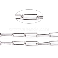 3.28 Feet 304 Stainless Steel Paperclip Chains, Drawn Elongated Cable Chains, Soldered, Stainless Steel Color, Links: 10x3x1mm(X-CHS-L022-02P)