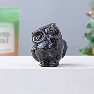 Natural Syenite Carved Healing Owl Figurines, Reiki Energy Stone Display Decorations, 35x30mm(PW-WG13335-08)
