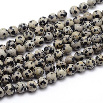 Natural Dalmatian Jasper Round Bead Strands, 6mm, Hole: 1mm, about 58~60pcs/strand, 15 inch