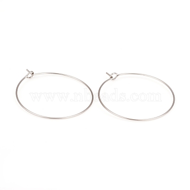 Stainless Steel Color 316L Surgical Stainless Steel Hoop Earring Findings