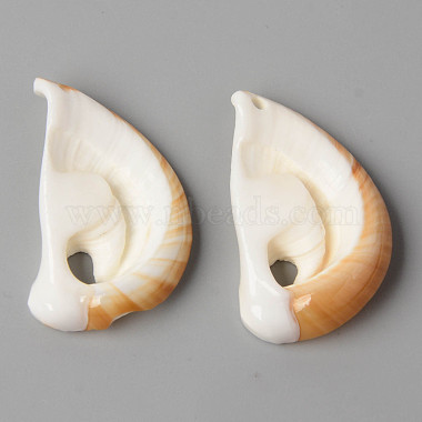 Natural Cowrie Shell Pendants(SSHEL-N032-06)-2