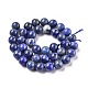 Natural Lapis Lazuli Beads Strands(G-E483-17-10mm)-6