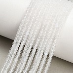 Natural Rainbow Moonstone Beads Strands, Faceted, Rondelle, 3x2mm, Hole: 0.6mm, about 177~185pcs/strand, 15.31''~15.43''(38.9~39.2cm)(GG-CBA77FB-C05-01)