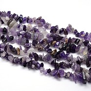 Natural Amethyst Beads Strands, Chips, 8~20x8~18mm, Hole: 1mm, about 31.5 inch(X-G-O049-C-48)