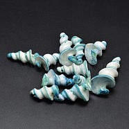 Natural Shell Nuggets Beads, Pale Turquoise, 22~25x11~15mm, Hole: 1mm, about 31pcs/114g(BSHE-O007-80A)
