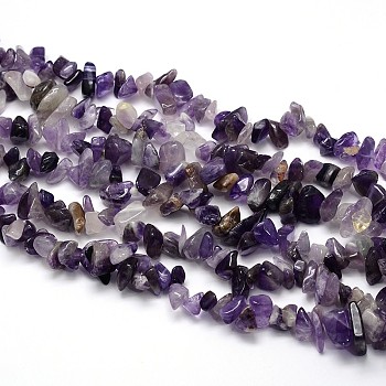 Natural Amethyst Beads Strands, Chips, 8~20x8~18mm, Hole: 1mm, about 31.5 inch