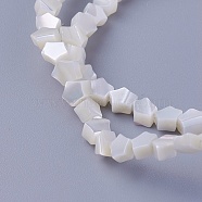 Shell Beads Strands, Star, 4~4.8x4~5x2.1~3mm, Hole: 0.5mm, about 93pcs/strand, 15.82 inch(40.2cm)(SSHEL-E571-27A)