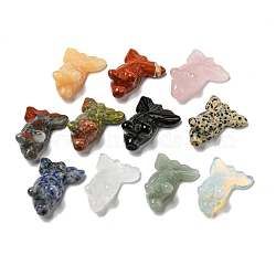 Natural & Synthetic Gemstone Carved Healing Goldfish Figurines, Reiki Energy Stone Display Decorations, 21.5x29~29.5x37~39mm(DJEW-D012-08A)