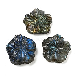 Natural Labradorite Carved Cabochons, Flower, 30x29~31.5x6.5~10.5mm(G-C152-06)