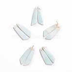 Natural Hemimorphite Pendants, for Jewelry Making, Wing, 43~44.5x10~11x3.5~5mm, Hole: 1.2mm(X-G-G827-04R)
