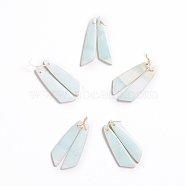 Natural Hemimorphite Pendants, for Jewelry Making, Wing, 43~44.5x10~11x3.5~5mm, Hole: 1.2mm(X-G-G827-04R)
