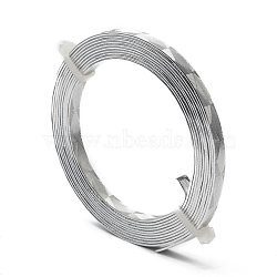 Textured Aluminum Wire, Bendable Metal Craft Wire, Flat Craft Wire, Bezel Strip Wire for Cabochons Jewelry Making, Silver, 18 Gauge, 5x1mm, about 6.56 Feet(2m)/roll(X-AW-R008-2m-01)