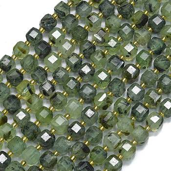 Natural Prehnite Beads Strands, Faceted, Cube, 8x8x8mm, Hole: 0.6mm, about 38pcs/strand, 15.35''(39cm)