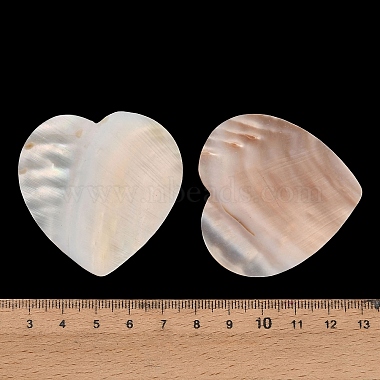 cabochons naturels d'eau douce(SHEL-C010-10A)-3