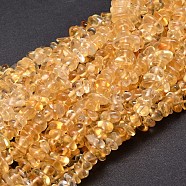 Natural Citrine Chip Beads Strands, Dyed & Heated, 5~14x4~10mm, Hole: 1mm, about 15.5 inch~16.1 inch(X-G-E271-100)