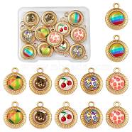 12Pcs 6 Styles Printed Opaque Resin Pendants, with Golden Tone Alloy Findings, Half Round, Mixed Patterns, 19.5x15.5x6mm, Hole: 2.5mm, 2pcs/style(FIND-SZ0009-13)