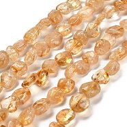 Natural Citrine Beads Strands, Nuggets, Tumbled Stone, 7~13x4.5~10x4.5~10mm, Hole: 1.2mm, about 44~46pcs/strand, 15.08~16.14 inch(38.3~41cm)(G-P497-01E-66)