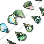 Electroplated Natural Freshwater Shell Beads, Teardrop, AB Color, Green, 28~38x18.5~25x6~16mm, Hole: 1.2mm, about 14pcs/strand, 15.35 inch~16.54 inch(39~42cm)(SHEL-N026-196)