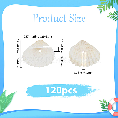 120Pcs Natural Freshwater Shell Beads(BSHE-PA0001-04)-2