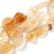 Rough Raw Natural Citrine Beads Strands, Nuggets, 10~14x9~11x4.5~7mm, Hole: 0.8mm, about 30pcs/strand, 16.14''(41cm)(G-G010-13)