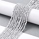 Transparent Electroplate Glass Beads Strands(GLAA-H021-01B-HP06)-3