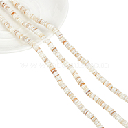 3 Strands Natural Shell Beads Strands, Disc, Seashell Color, 4.9~6x0.4~6mm, Hole: 1.4mm,  about 15.94 inch~16.14 inch(40.5~41cm)(SSHEL-NB0001-44A)