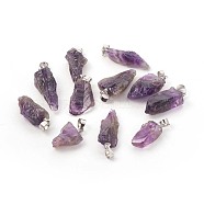 Natural Amethyst Pendants, with Platinum Tone Brass Findings, Nuggets, 17.5~30x9.5~10x4.5~8mm, Hole: 3.5x4.5mm(G-F587-03P)