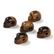 Natural Tiger Eye Beads, Skull, 17~18.5x11~11.5x12~13mm, Hole: 1.7~2mm(G-B003-07)