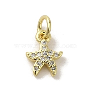 Brass Micro Pave Cubic Zirconia Charms, Real 18K Gold Plated, Starfish Charms, Clear, 10.5x7.5x2mm, Hole: 3mm(KK-M283-22D-01)