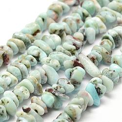 Natural Larimar Beads Strands, Chip, 2~4x7~8mm, Hole: 1mm, 15.7 inch(40cm)(G-P302-03)