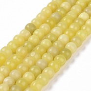 Natural Lemon Jade Beads Strands, Column, 6x8mm, Hole: 1.2mm, about 60pcs/strand, 14.76 inch(37.5cm)(G-G990-C06)