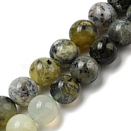 Natural Green Opal Beads Strands, Round, 10mm, Hole: 0.8mm, about 39pcs/strand, 15.35~16.02''(39~40.7cm)(G-R494-A11-04)