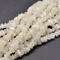 Natural White Moonstone Chip Beads Strands, 4~14x4~12mm, Hole: 1mm, about 15.3 inch~16.1 inch(X-G-E271-112)
