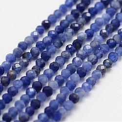Natural Grade A Sodalite Beads Strands, Round, Faceted, 2mm, Hole: 0.5mm, about 195pcs/strand, 15.3 inch(39cm)(G-G663-21-2mm)