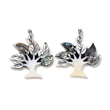 Natural Paua Shell & Black Lip Shell & White Shell Pendants, Tree Charms with Stainless Steel Color Tone Stainless Steel Snap on Bails, 43x48x3.5~4mm, Hole: 6.5x4.2mm