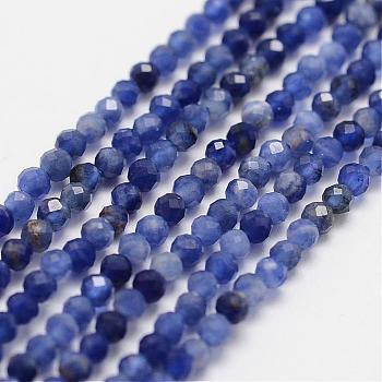 Natural Grade A Sodalite Beads Strands, Round, Faceted, 2mm, Hole: 0.5mm, about 195pcs/strand, 15.3 inch(39cm)