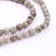 Natural Silver Leaf Jasper Beads Strands, Round, Faceted, 4mm, Hole: 1mm, about 98pcs/strand, 15.7 inch(40cm)(G-G683-08-4mm)