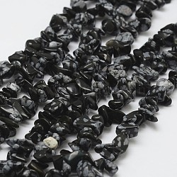 Natural Snowflake Obsidian Beads Strands, Chip, Black, 3~5x7~13x2~4mm, Hole: 0.4mm, 34.9 inch(G-F328-10)