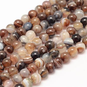 Natural Striped Agate/Banded Agate Bead Strands, Round, Grade A, Dyed & Heated, Coffee, 6mm, Hole: 1mm, about 62~63pcs/strand, 14.5 inch