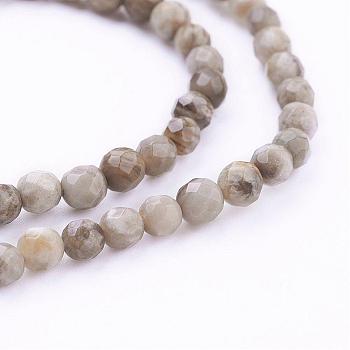 Natural Silver Leaf Jasper Beads Strands, Round, Faceted, 4mm, Hole: 1mm, about 98pcs/strand, 15.7 inch(40cm)