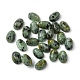 Natural African Turquoise(Jasper) Cabochons(G-A094-01A-03)-1